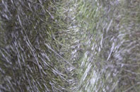 Enstone fibreglass roof work